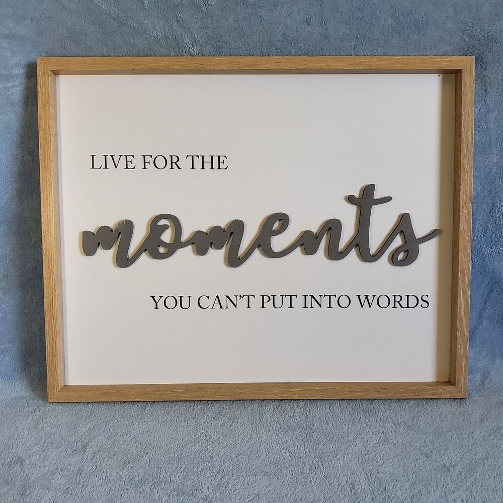 Live For The Moments You Can't Put Into Words Wood Framed Wall Sign 20.5x16.5